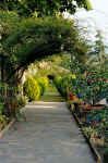 Cortona gardens